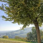 Casa Per Ferie Ca Monte - Di Albinea Borzano