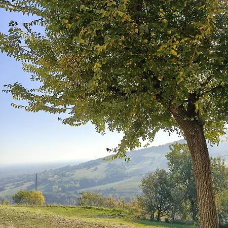 Casa Per Ferie Ca Monte - Di Albinea Borzano